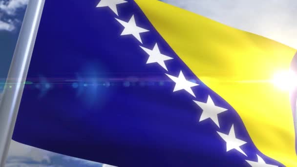 Flagge von Bosnien und Herzegowina schwenken — Stockvideo