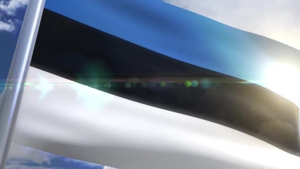 Wapperende vlag van Estland animatie — Stockvideo