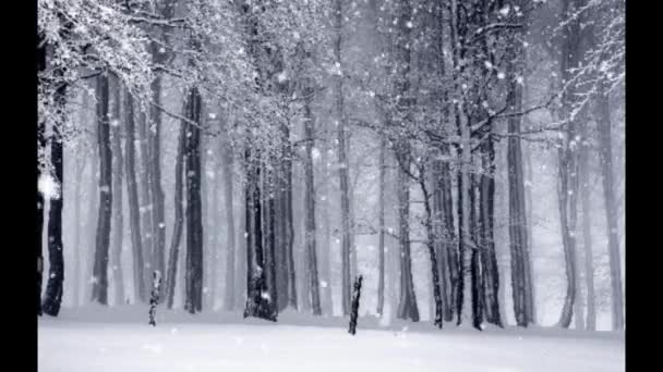 神奇的雪-雪圣诞节视频背景循环 — 图库视频影像