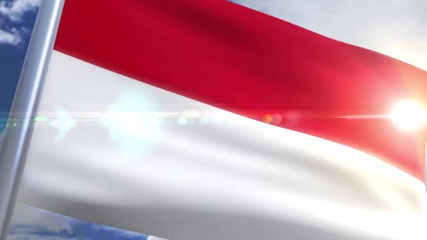 Размахивая флагом Индонезии — стоковое видео