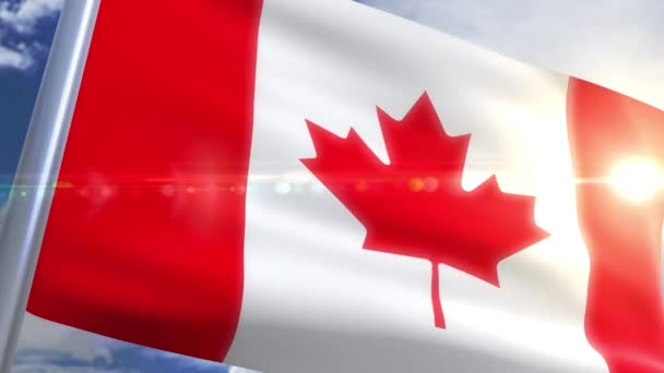 Waving flag of Canada Animation — Stock Video