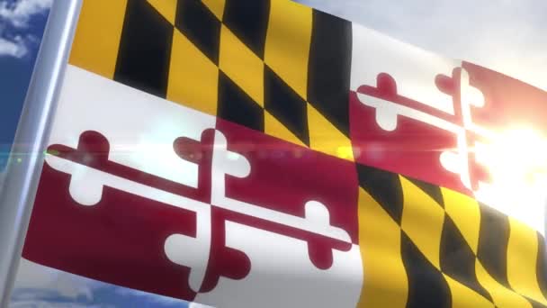 Drapeau de l'état du Maryland USA — Video