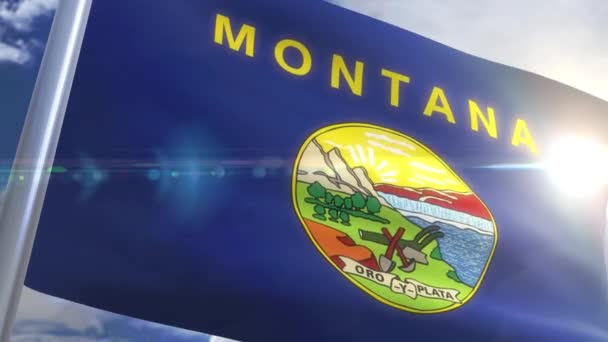 Waving flag of the state of Montana USA — Stock Video