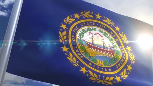 Waving flag of the state of New Hampshire USA — Stock Video