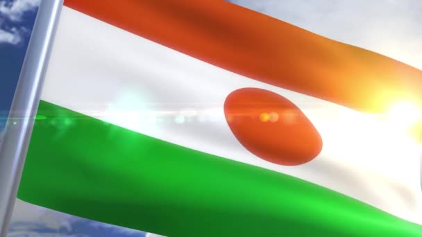 Flagge der niger animation schwenken — Stockvideo