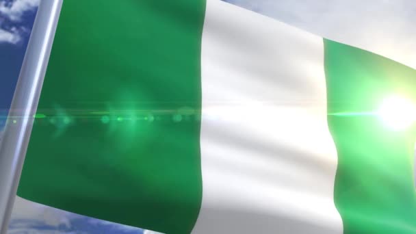 Waving flag of Nigeria Animation — Stock Video
