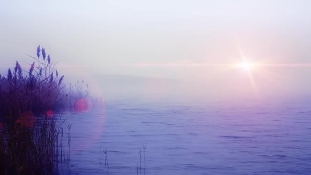 Mattina nebbiosa a mare lunatico con cielo nuvoloso e sole cupo — Video Stock