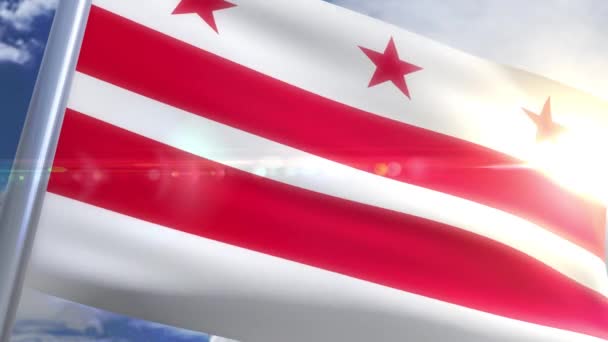 Ondeando la bandera del estado de Waschington DC USA — Vídeos de Stock