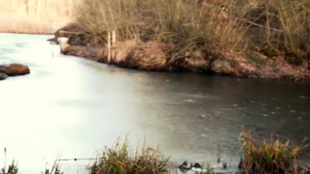 勇敢的维京人站在冰冻的海上 — 图库视频影像