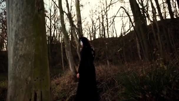 在秋天森林中行走的维京妇女 — 图库视频影像
