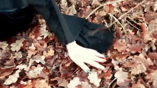 Viking woman runs hands through the autumn leaves — Stock Video