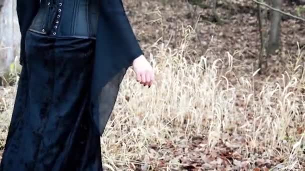 Женщина-викинг гладит руки через камыш — стоковое видео