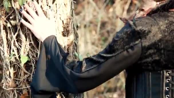 Красавица-викинг колдует дерево и природу — стоковое видео