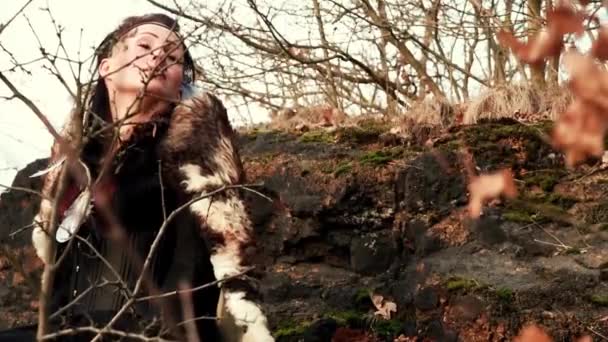 Beautyful viking woman seated on a rock in autumn nature landscape — Stock Video