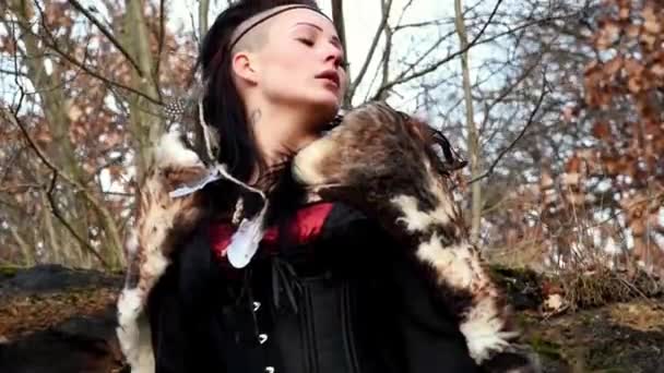 Sonbahar doğa manzara içinde bir kayanın üzerine oturmuş beautyful viking kadın — Stok video