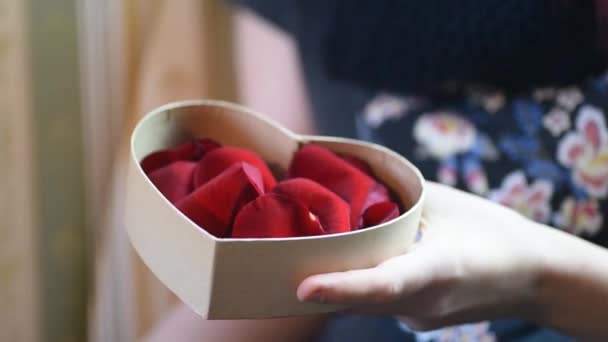 De Gift van de Valentijnskaart. Young Girl openen van de doos van de gift van het hart met rozenblaadjes — Stockvideo