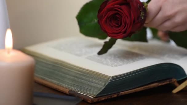 Gros plan ramasser une rose rouge de table avec livre et bougies — Video