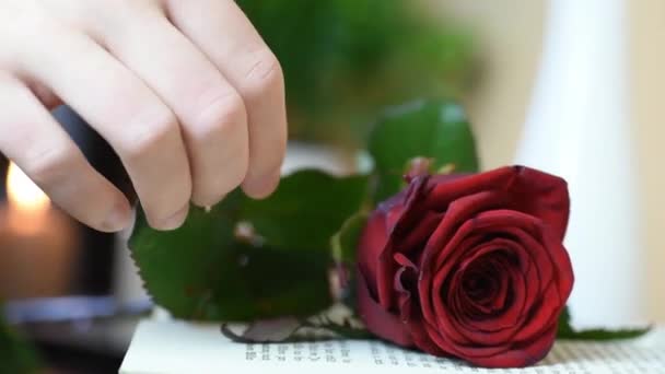 Close up picking up en rød rose fra bordet med bog og stearinlys – Stock-video