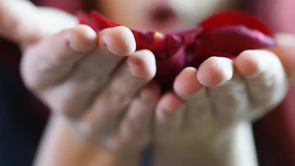 Подарок Валентина. Молодая девушка дует лепестками роз в камеру — стоковое видео