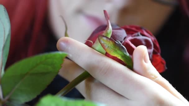 Valentine Gift. Menina cheirando em uma rosa vermelha — Vídeo de Stock