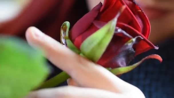 Valentine Gift. Menina cheirando em uma rosa vermelha — Vídeo de Stock