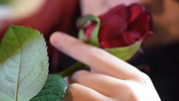 Valentinstagsgeschenk. junges Mädchen, das an einer roten Rose riecht — Stockvideo