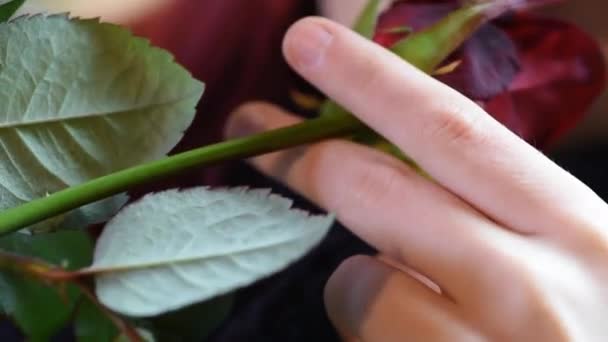 Valentine gåva. Ung flicka att lukta på en röd ros — Stockvideo