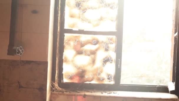 Παλιά εγκαταλελειμμένα παράθυρο με λαμπρό φως του ήλιου — Αρχείο Βίντεο