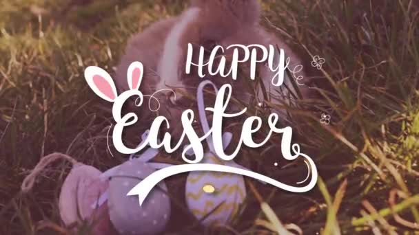 复活节白色兔子与复活节彩蛋坐在草地上 — 图库视频影像