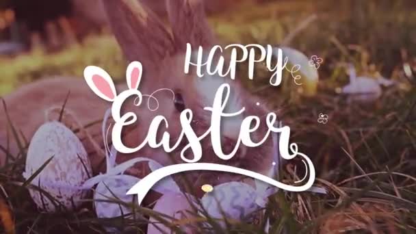 Easter white bunny with easter eggs sitting in the grass Royalty Free Stock Video
