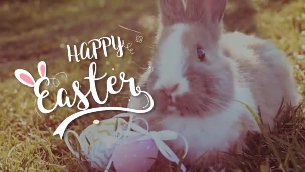 Conejito blanco de Pascua con huevos de Pascua sentado en la hierba — Vídeos de Stock