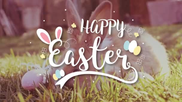 复活节白色兔子与复活节彩蛋坐在草地上 — 图库视频影像