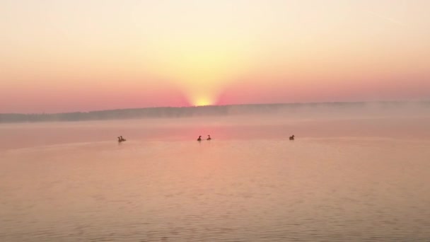 Luchtfoto van helikopter vliegen tijdens prachtige zonsondergang in Duitsland — Stockvideo