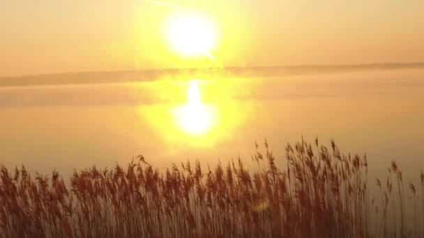 Veduta aerea dell'elicottero che vola durante lo splendido tramonto in Germania — Video Stock