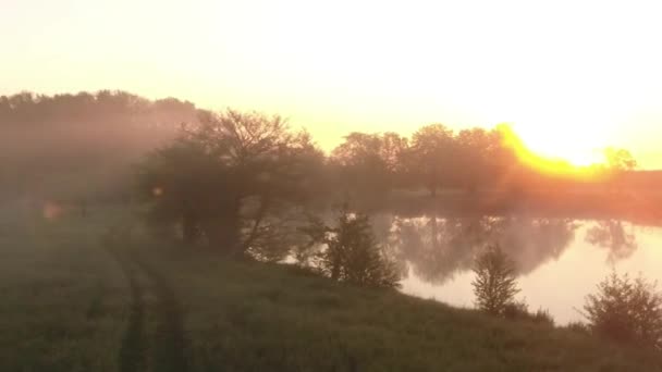 Mglisty wschód słońca z zieloną łąką i jeziorem i drzewami — Wideo stockowe