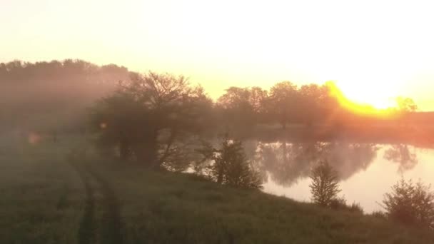 Lever de soleil brumeux avec prairie verte et lac et arbres 