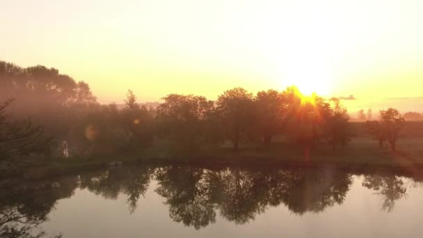 Vuelo sobre el lago al amanecer con árboles — Vídeo de stock