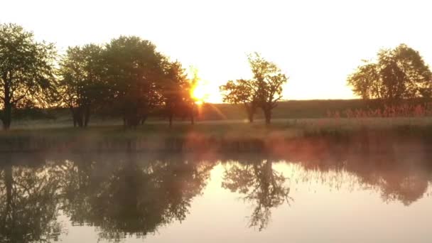 Nascer do sol brilha através de árvores no lago nebuloso — Vídeo de Stock