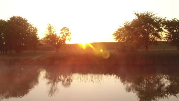 Salida del sol brilla a través de los árboles en el lago de niebla — Vídeo de stock