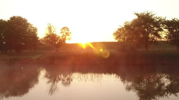 Alba splende attraverso gli alberi sul lago nebbioso — Video Stock