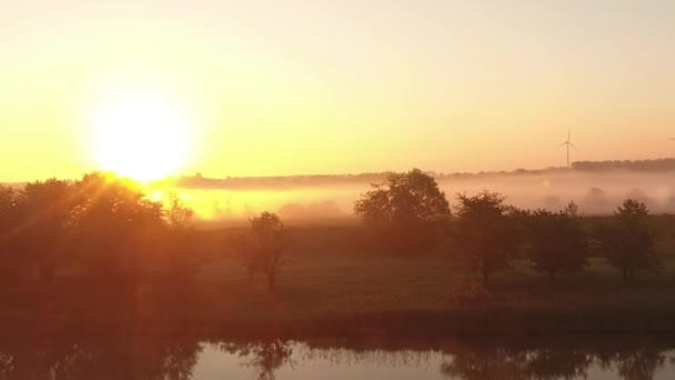 Vlucht over mistig Lake en weide met bomen met prachtige zonsopgang — Stockvideo