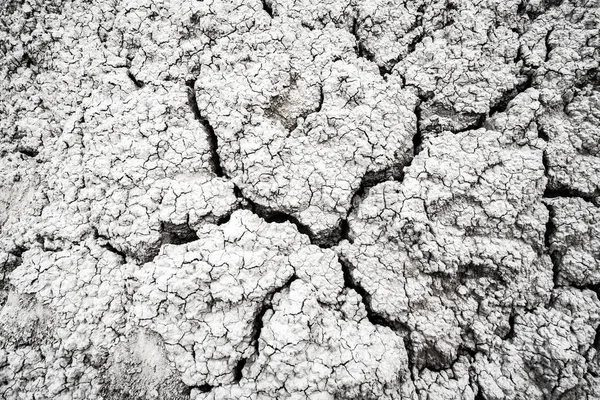 Secco e incrinato deserto terra texture sfondo — Foto Stock