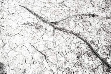 Kurutulmuş ve kırık çöl zemin dokusu arka plan