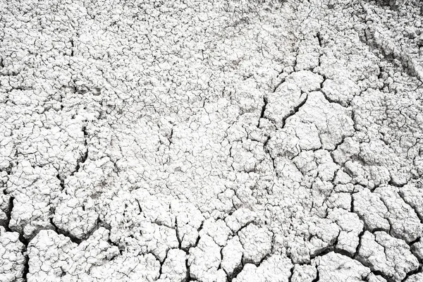 Dried and Cracked desert ground texture background