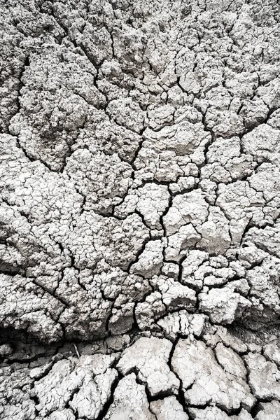 Dried and Cracked desert ground texture background