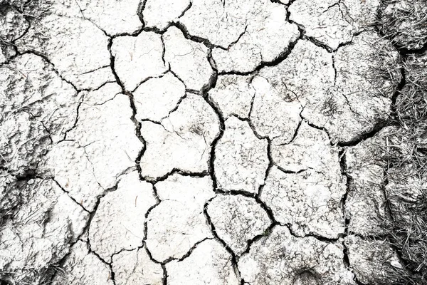 Dried and Cracked desert ground texture background