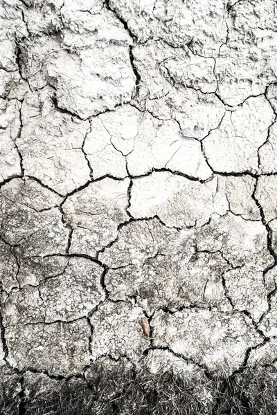 干裂沙漠地面纹理背景 — 图库照片