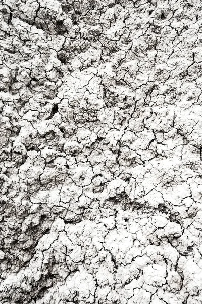 Dried and Cracked desert ground texture background