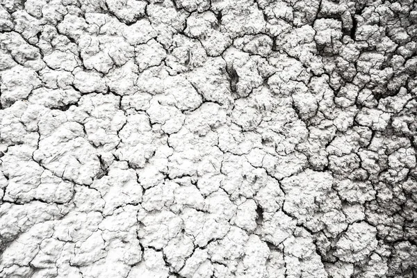 Dried and Cracked desert ground texture background