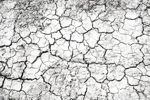 Dried and Cracked desert ground texture background